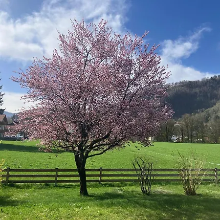 Open Garden Mountain